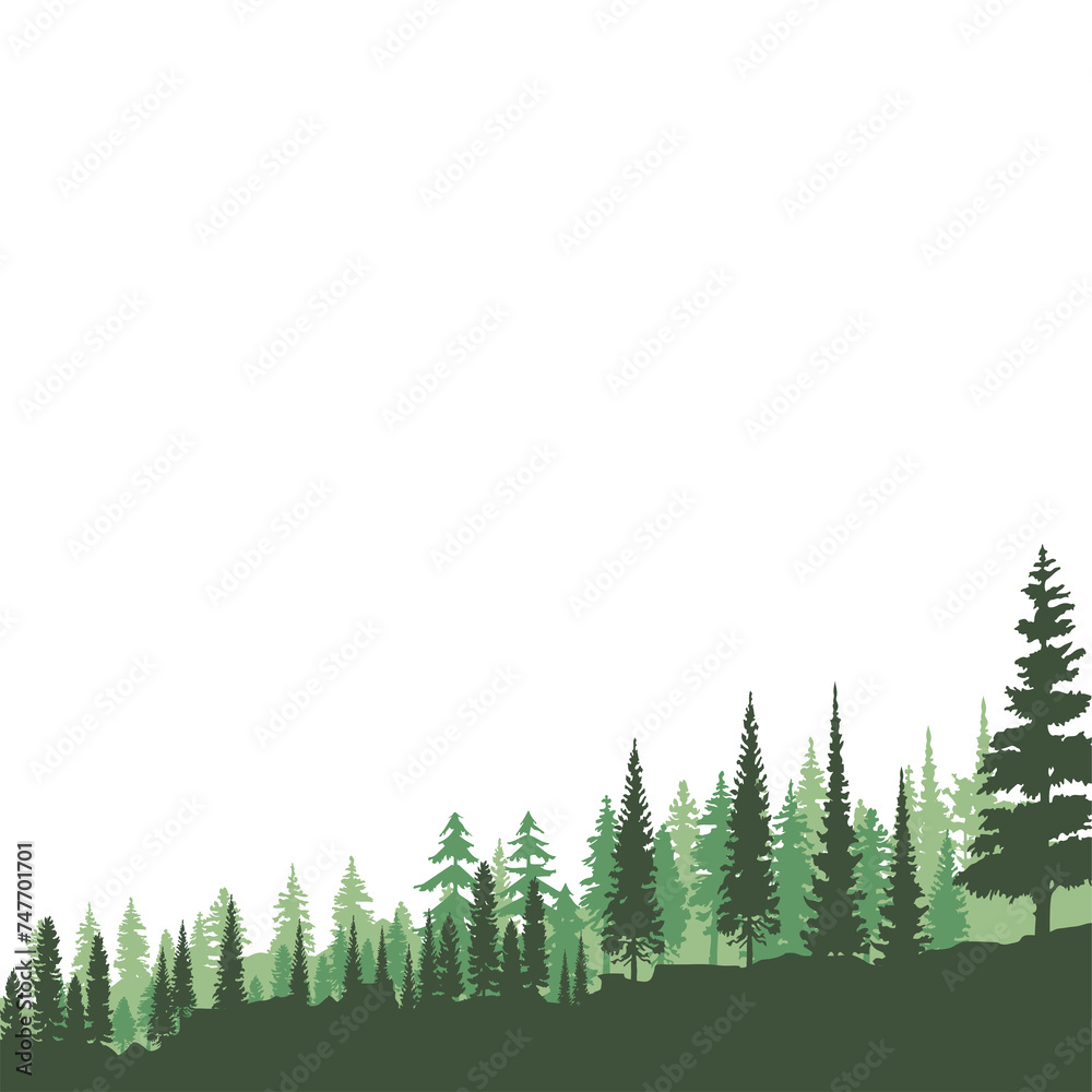 Forest Tree Landscape Forest Tree Landscape