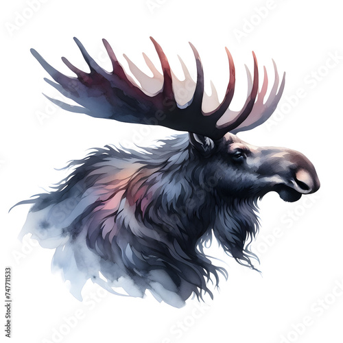 Moose PNG