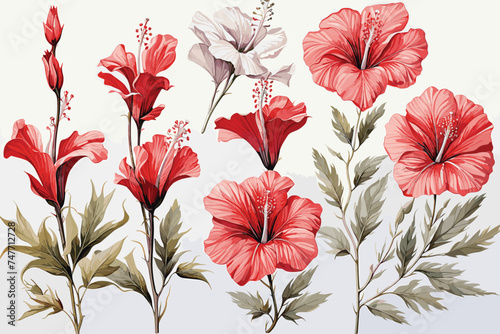 Explore the captivating beauty of this watercolor art collection featuring a set of hibiscus flowers. Each painting bursts with vibrant colors and meticulous