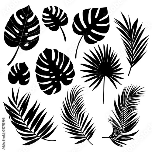 Set of silhouettes of palm leaves isolated 