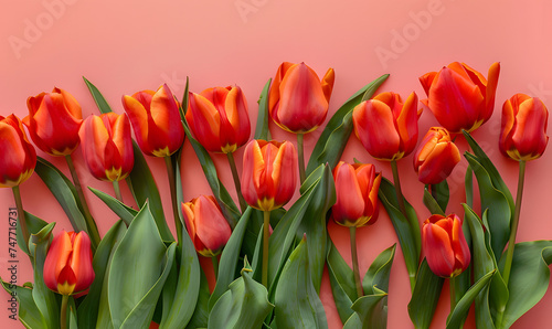 Fresh red tulips on pastel menthe light pink background Generative AI 