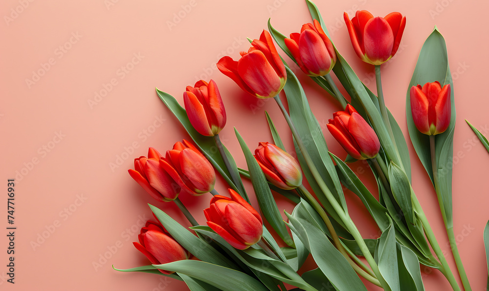Fresh red tulips on pastel menthe light pink background,Generative AI Fresh red tulips on pastel menthe light pink background,Generative AI