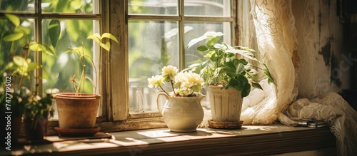 A window sill filled with various potted plants positioned next to a window in an old traditional setting. The plants vary in size and type, adding a touch of greenery to the space.
