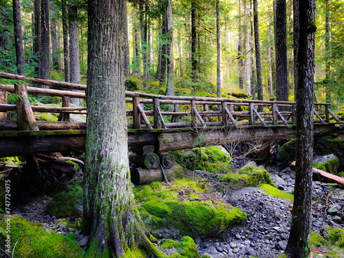 Fairytale Bridge 