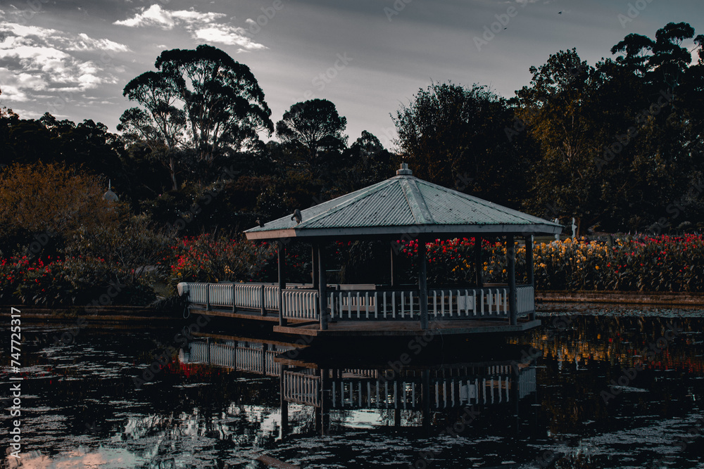 Fototapeta premium sunset on the lake