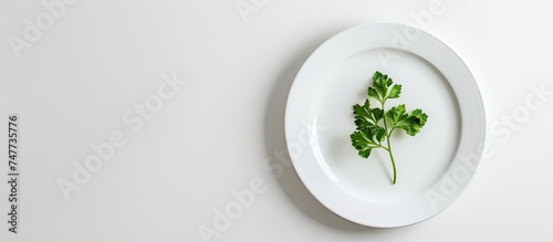 A crisp green parsley leaf rests on a clean, white plate, providing a simple and elegant garnish against a white background.