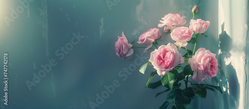 Soft pink roses in ethereal light against a textured window, conveying a peaceful ambiance, suitable for Mother's Day promotions or serene floral backgrounds