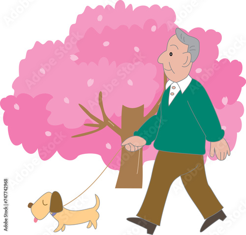 桜と犬を連れて散歩をする高齢男性
