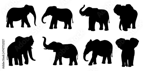 Elephant vector silhouette set isolated on white background. African animals photo