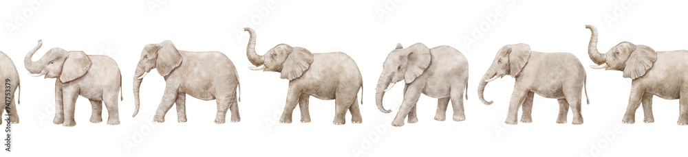 Obraz premium Seamless repeat border with watercolor realistic elephants isolated
