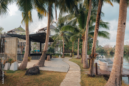 Fotografie Coconut trees and canalside walkway in the morning