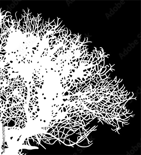 ramas, arboles, siluetas, vegetacion, roble, bosque, paisaje, vector, hojas, abstracto, sauce, tronco, malesa, pegatina, follaje