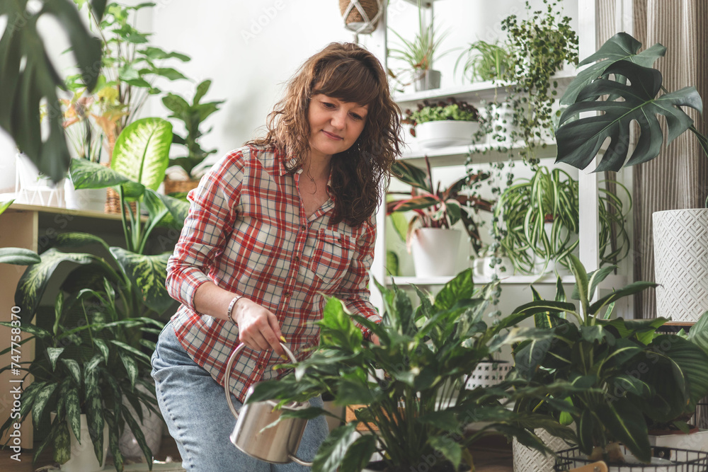 A young woman enjoys caring for flowers. Watering indoor plants and admiring them. A young woman enjoys caring for flowers. Watering indoor plants and admiring them.