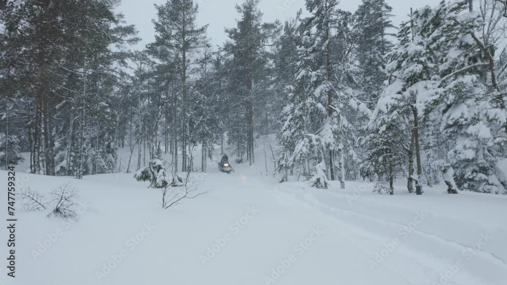 Snowmobile Ride Over Winterly Forest With Heavy Snowfall. Wide Shot Snowmobile Ride Over Winterly Forest With Heavy Snowfall. Wide Shot