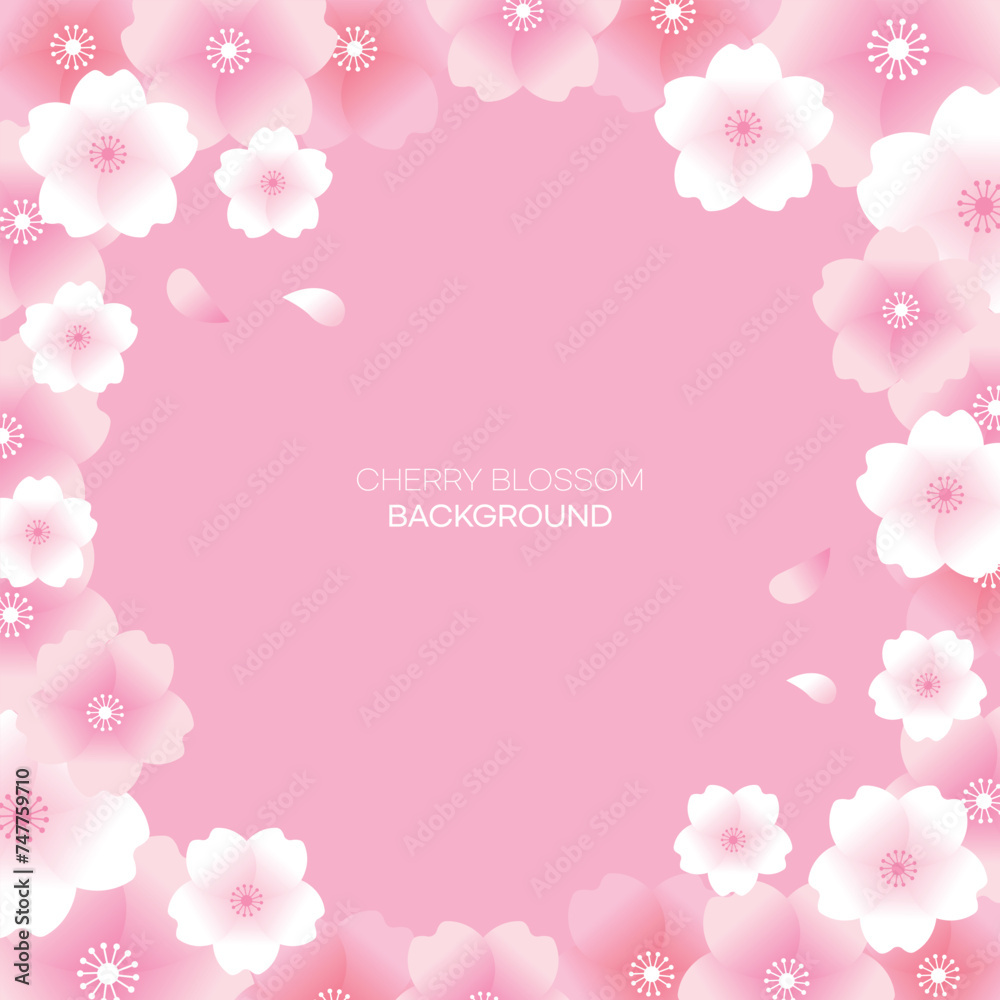 Spring Banner Template Cherry Blossom Vector Design