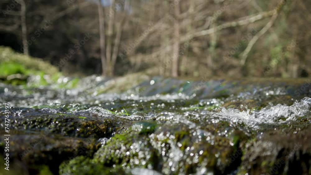 Magic sunny forest stream closeup slow motion. Magic sunny forest stream closeup slow motion.