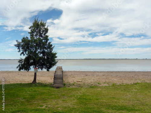 Lonely pine tree beside an old wooden jetty at the shore of a tranquil lake under a cloudy sky photo