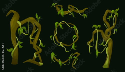 Jungle liana vines with green leaves. Cartoon vector illustration border of rainforest tree creeping branches with foliage. Long ivy climbing plant stem and rope. Tropical hanging vegetation frame.