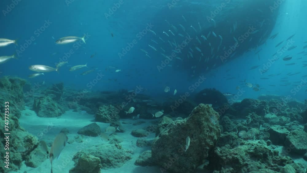 underwater under the boat fish around slow relaxing ocean scenery underwater under the boat fish around slow relaxing ocean scenery