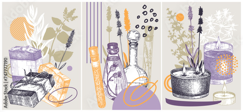 Collage-style Provence herbs poster set. Herbal plant sketch, hand drawn vector illustrations. For cosmetics packaging, perfumery labels, soap or candle making. NOT AI generated