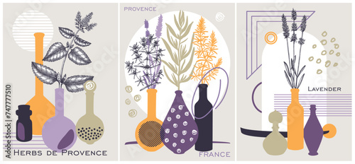 Collage-style Provence herbs poster set. Herbal plant, sketch, hand drawn vector illustrations. For cosmetics packaging, perfumery labels, soap or candle making. NOT AI generated