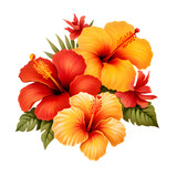 Bright large red and Orange color hibiscus flower and leaf isolated on white transparent background