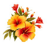 Bright large red and Orange color hibiscus flower and leaf isolated on white transparent background