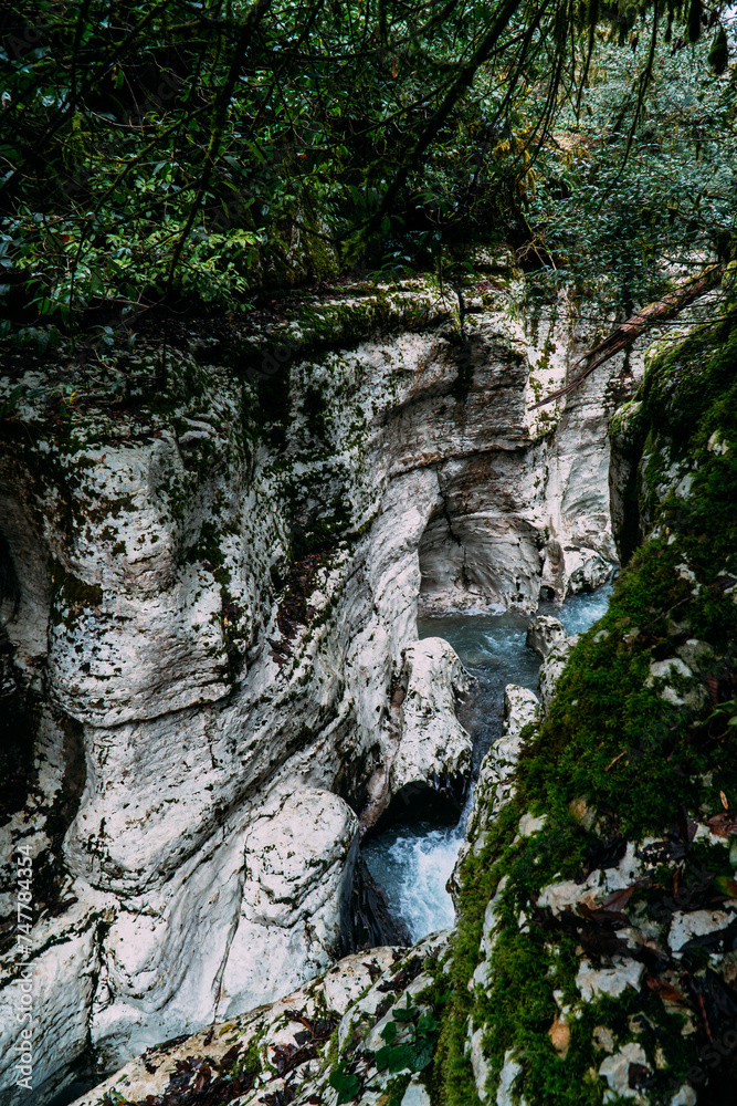 White Rock Canyon: Jungle and Mountain Forest Hiking, Khosta River Along Cliffs White Rock Canyon: Jungle and Mountain Forest Hiking, Khosta River Along Cliffs
