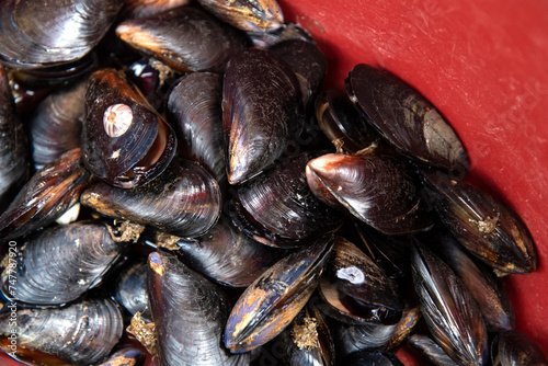 View of the mussels on sale in the market