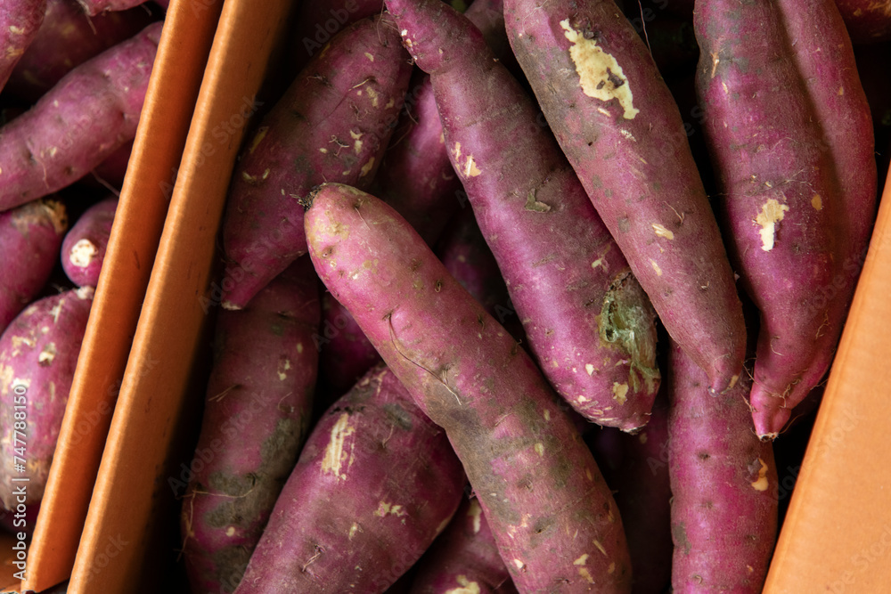 View of the sweet potatoes on sale in the market View of the sweet potatoes on sale in the market