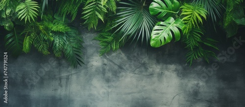 A backdrop of tropical green leaves contrasts against a rough and weathered concrete wall. The vibrant foliage adds a touch of nature to the urban setting.