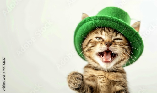 Photography realistic photo banner design cute cat for St Patrick day style happy condition, with the best stock photos and, the white background photo