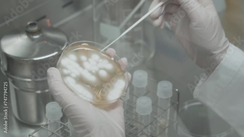 The process of manufacturing Dietary Supplements in bio factories