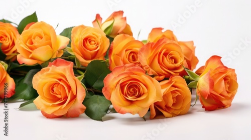 Beautifull and fresh orange roses isolated on white background.