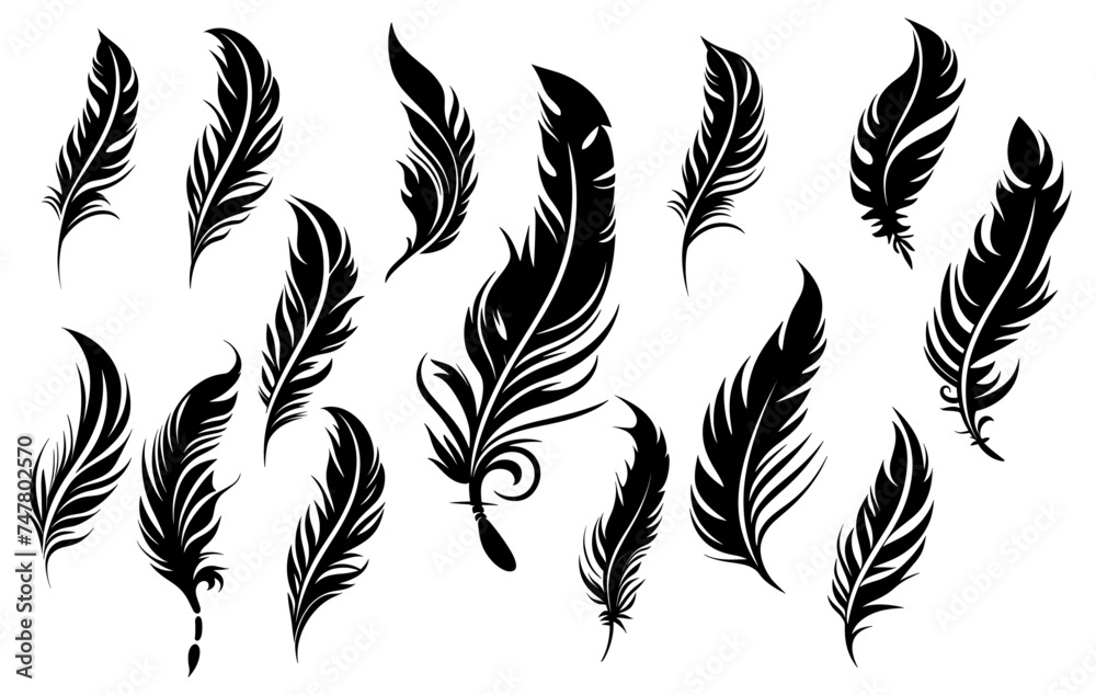 Black fluffy feather. Hand drawing vintage art realistic quill feathers for pen detailed isolated vector elegant silhouette sketch bird plume set - obrazy, fototapety, plakaty 