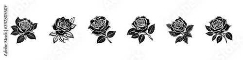 Hand-drawn rose flower collection, beautiful monochrome black and white bouquet rose isolated on background. Rose vector set by hand drawing.  botanical rose set. Engraved collection. photo