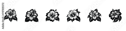 Hibiscus icon, Hibiscus icon isolated on white background, Tropic flowers vector. Hawaiian hibiscus, Hibiscus beautiful blooming flower, hibiscus flower vector clip art set