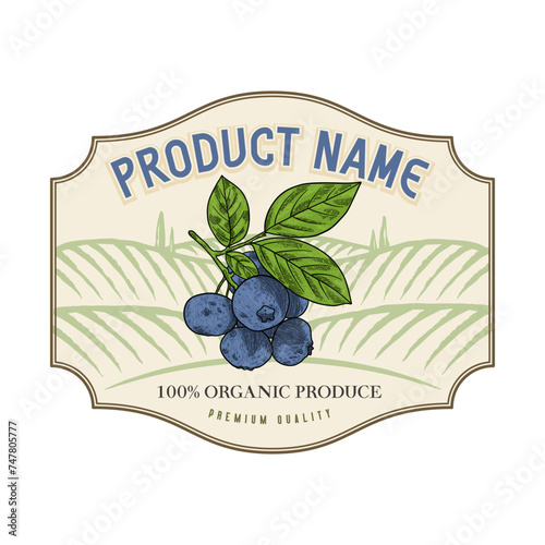 hand drawn blueberry vector design