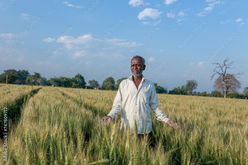 Indian farmer standing at wheat field, Happy farmer Indian farmer standing at wheat field, Happy farmer