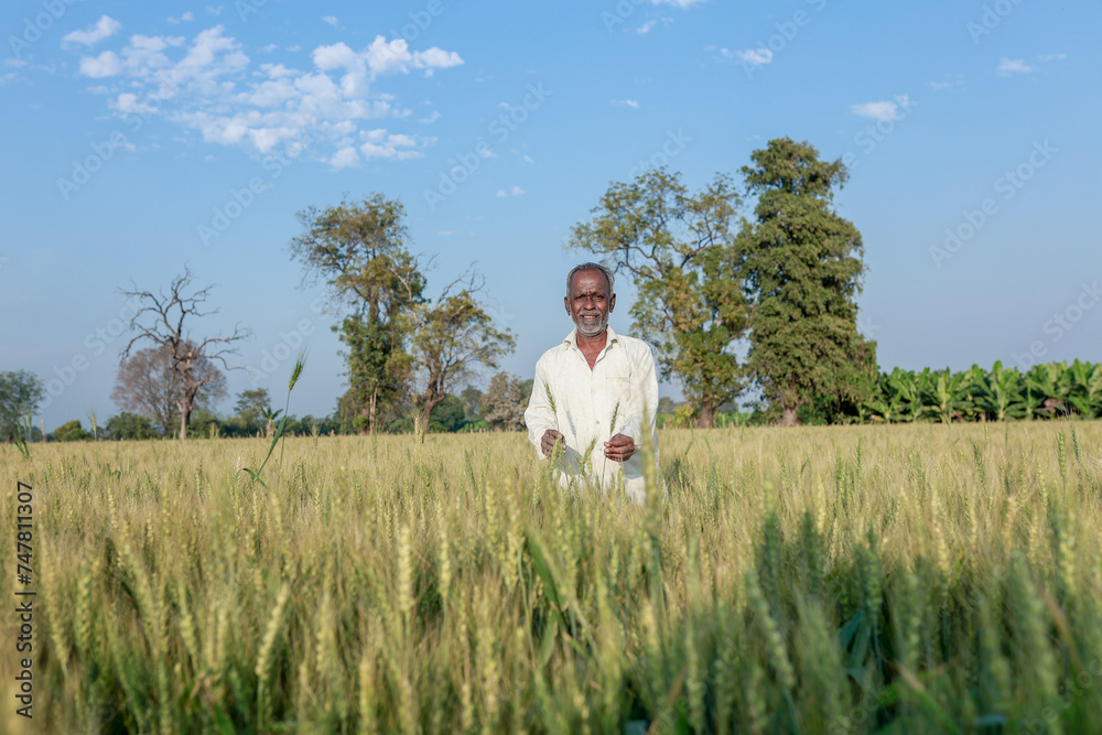 Indian farmer standing at wheat field, Happy farmer Indian farmer standing at wheat field, Happy farmer