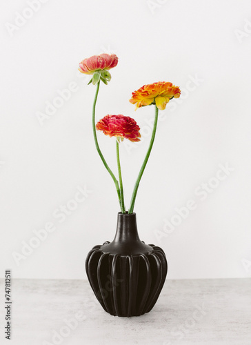 Varigated Orange, Yellow, & Red Picotee Ranunculus in black vase photo