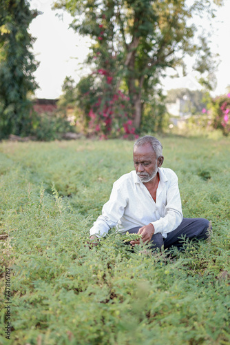 Indian happy farmer in a chickpea farm