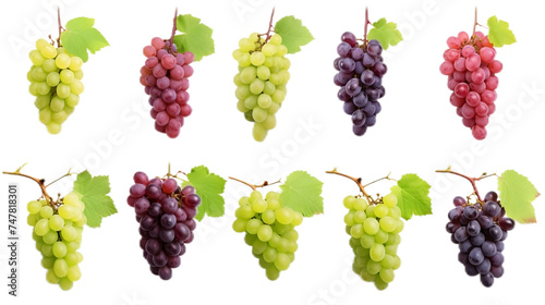 Assorted Grapes Collection Realistic Portrait Isolated On Transparent Background Or PNG Background.