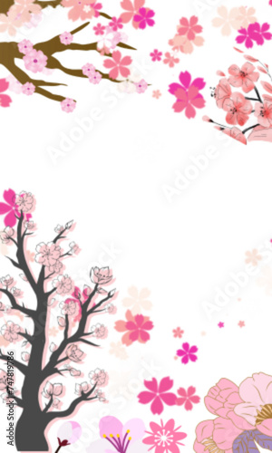 pink cherry blossom