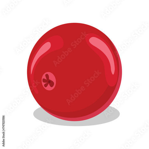 Vector illustration set or single cranberry fruit in cartoon flat style. Red fruit garden vegan food. Agriculturan product design for advertising, etc. Healthy red fruit with green leaf