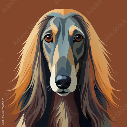 Cute Afghan Hound dog portrait vector