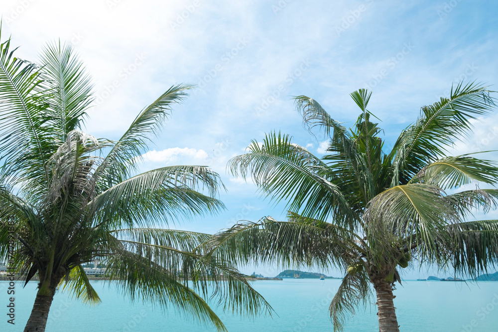 Coconut trees and beautiful blue sky at the beach in Thailand.