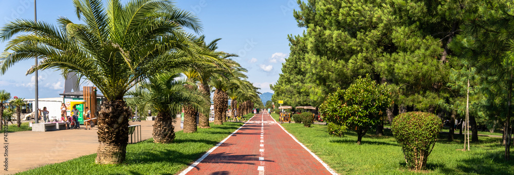 Bike path and palm trees