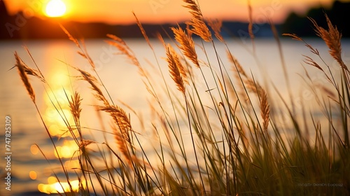 Golden Hour Glow: Tranquil Lake Shore with Vibrant Grasses at Sunset, Canon RF 50mm f/1.2L USM Capture