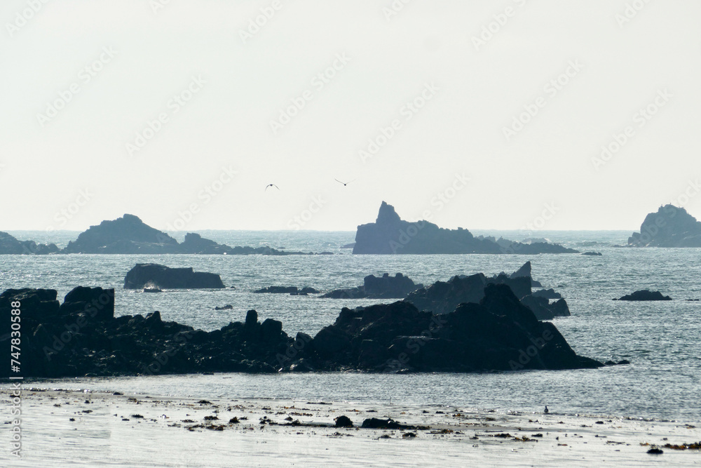 Panoramic view of the tidal zone in St. Clement, Jersey